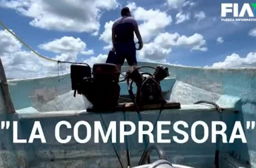  "La compresora", herramienta utilizada para la pesca ilegal en Campeche – TV Azteca