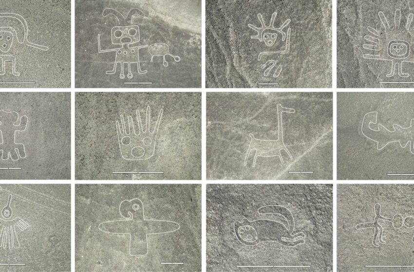  Más de 300 geoglifos han sido descubiertos con inteligencia artificial en la Pampa de Nasca, Perú