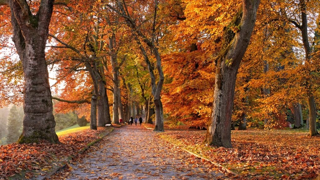 cuándo empieza el otoño