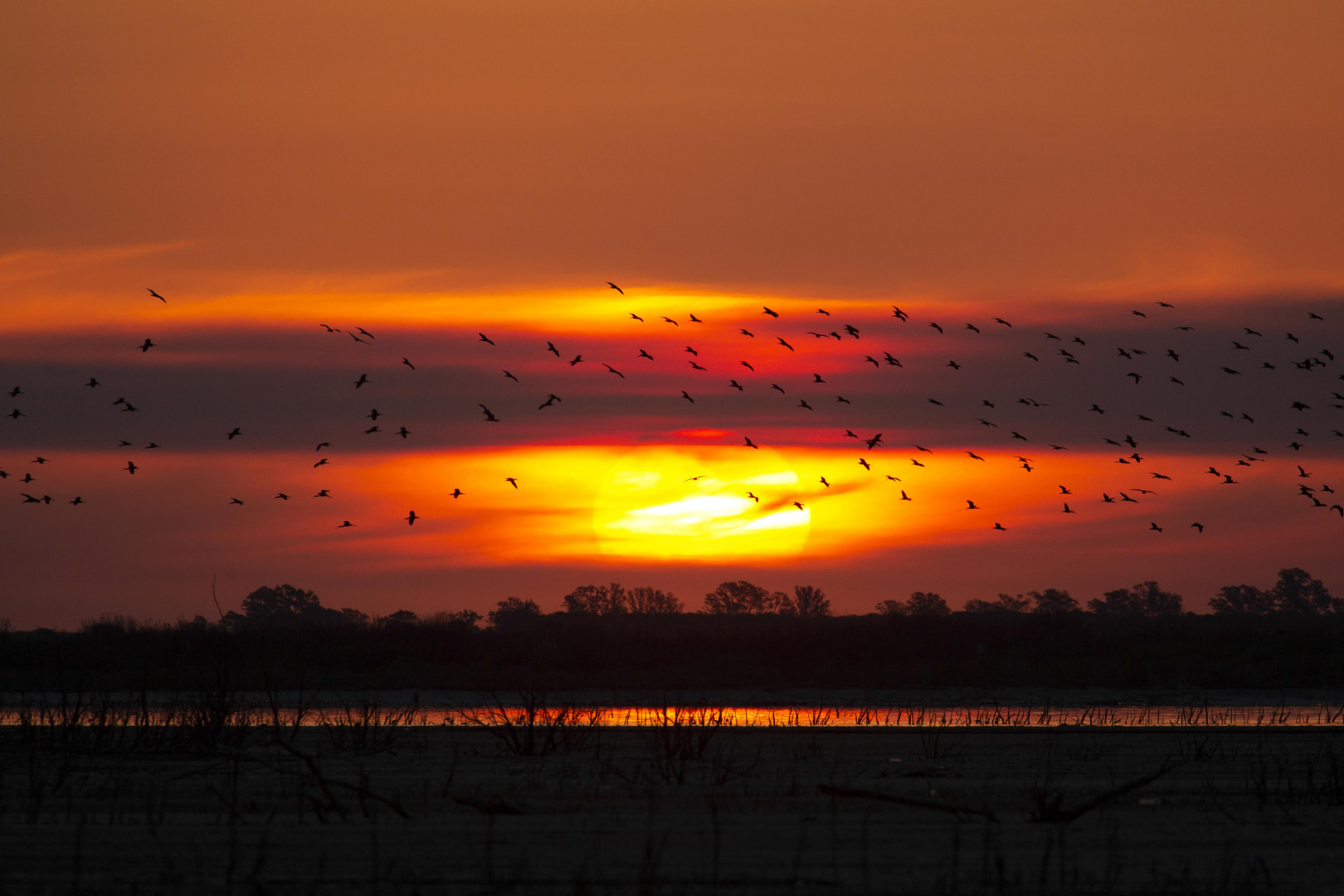 Atardecer PN Ansenuza