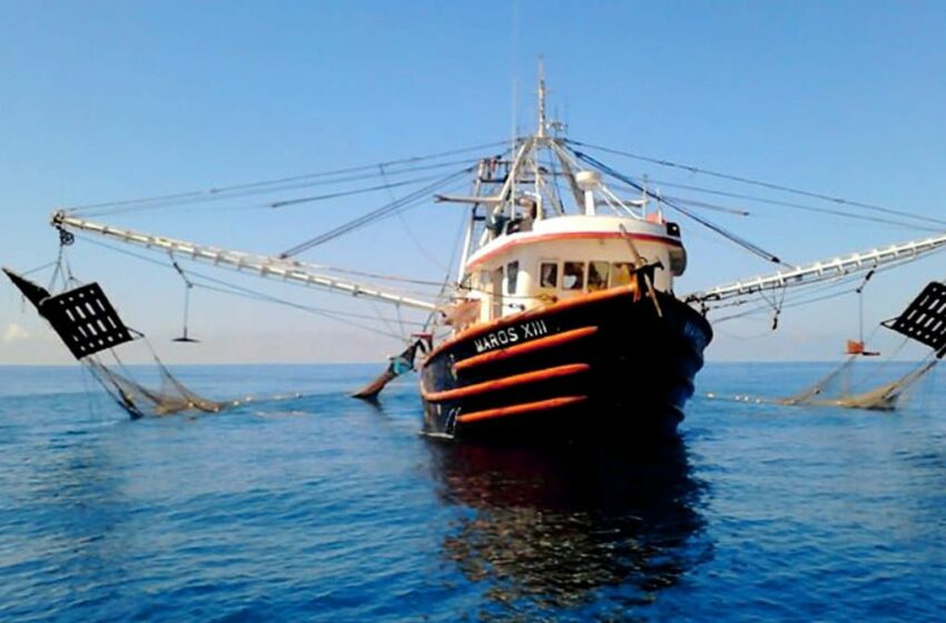  Actualizan veda para la pesca de langosta en el Pacífico mexicano y Golfo de California