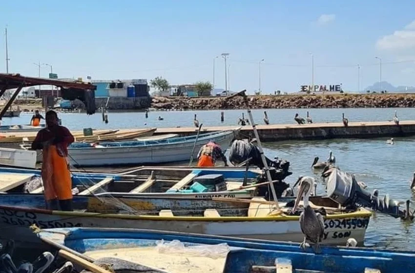  Listos pescadores ribereños al abrirse la veda del camarón – FM 105