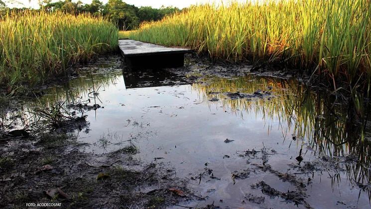  Pasivos ambientales en Perú: Una deuda que sigue asfixiando a la Amazonía y al país