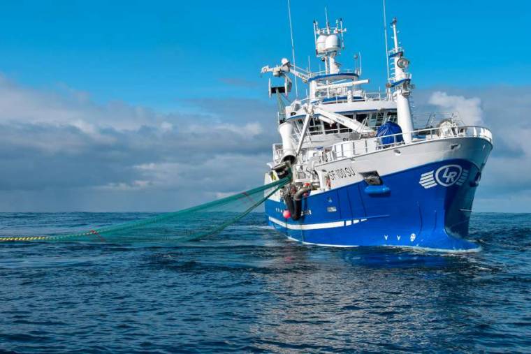  “Fair Fishing”: asegurando océanos saludables y delicioso bacalao para las mesas mexicanas