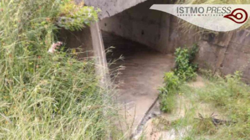  Acusan de negligencia a Semarnat y Profepa tras contaminación por minería del río coyote …