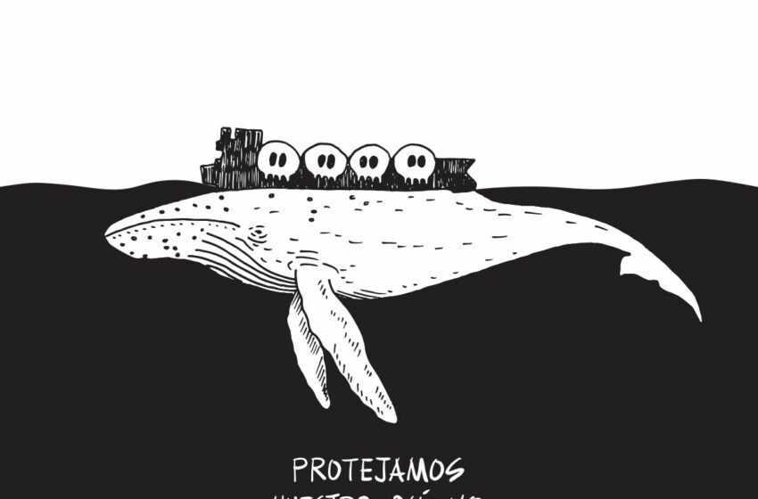  ONGs piden cancelar proyecto Saguaro y lanzan campaña “¿Ballenas o Gas?” – Cronica