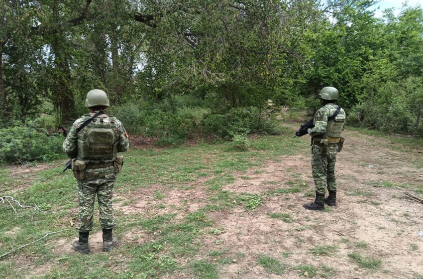  En el Higuera ubican cuerpo carbonizado. – Viva La Noticia