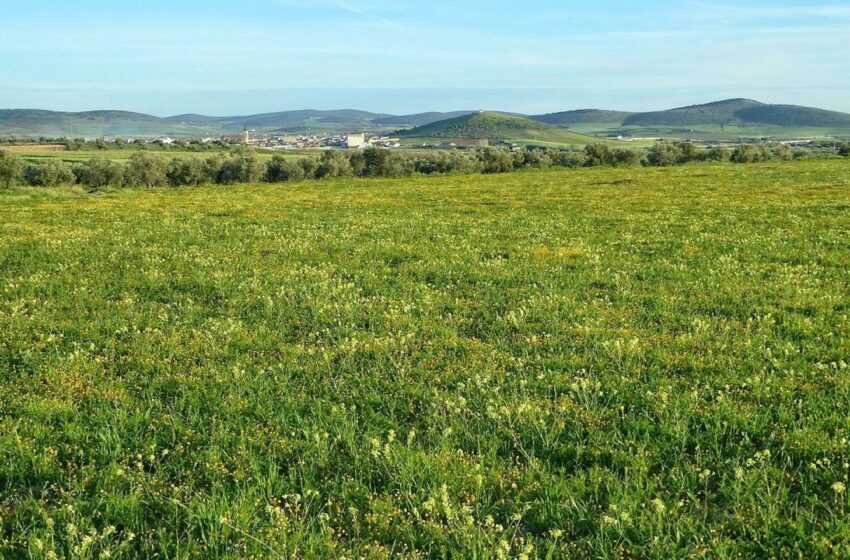  Lanzan un crowdfunding para financiar la lucha contra la minería de tierras raras en Ciudad Real