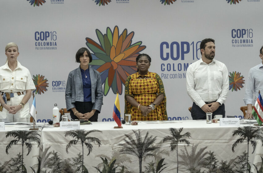  Estos son los temas clave que se discutirán en la COP 16 de Biodiversidad en Cali