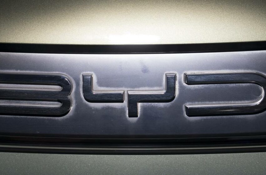  BYD ‘le copia’ a Tesla: ¿Por qué frenó la construcción de una planta en México?