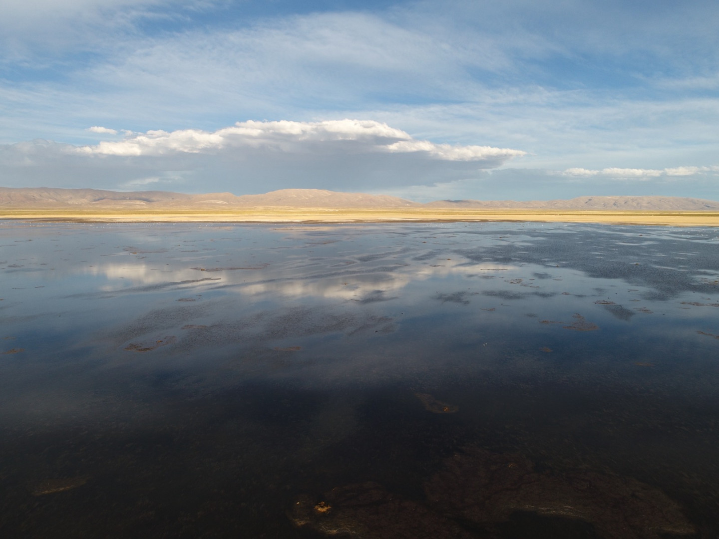 MN Laguna de los Pozuelos