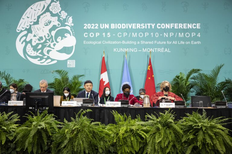 Reunión de la COP15 en Montreal (Canadá), diciembre de 2022. Foto: CDB.