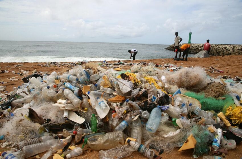  Cada año se vierten más de 52 millones de toneladas de plásticos al medioambiente … – EL PAÍS