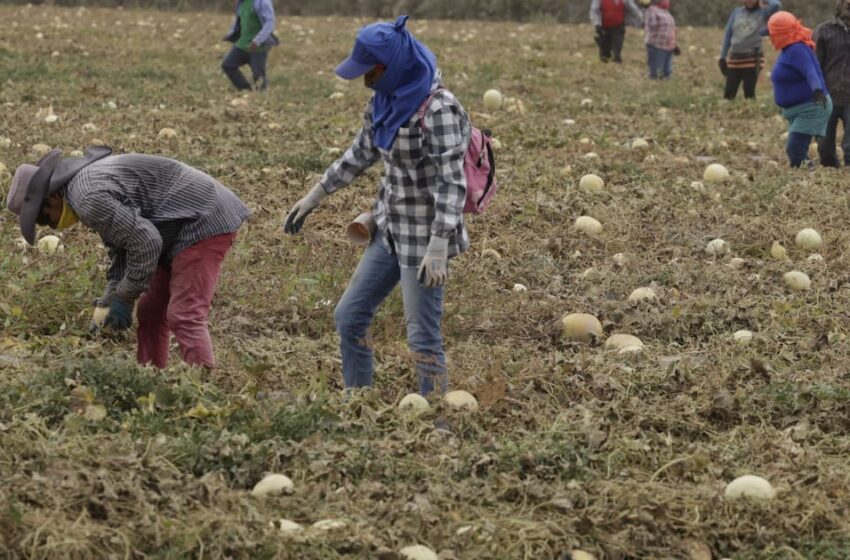  Aumenta la desocupación en Sonora de abril a junio – El Imparcial