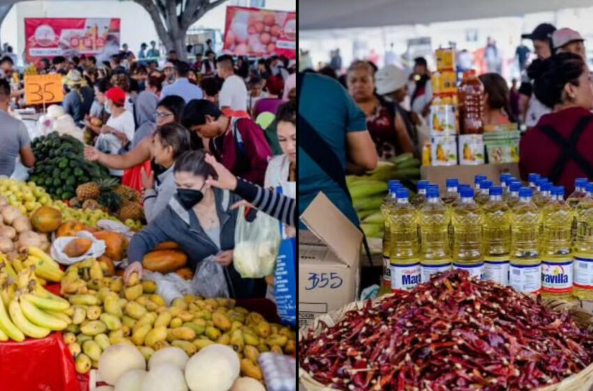  Retoma Toño López canasta de alimentos económicos, ahora como diputado federal