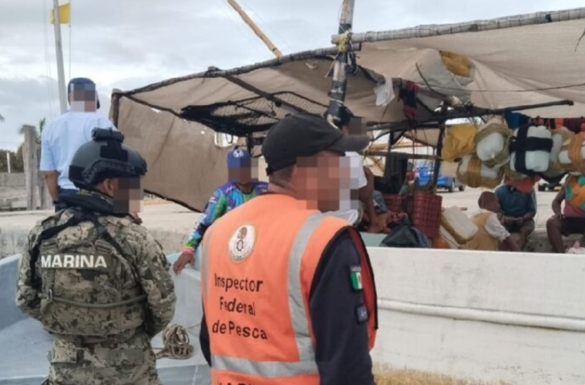  Pescadores foráneos acechan a puertos yucatecos – El Momento Yucatán
