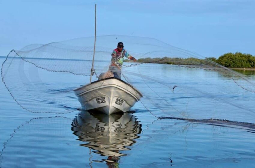  Pescadores de Navolato y Eldorado aplazan el levantamiento de la veda de camarón