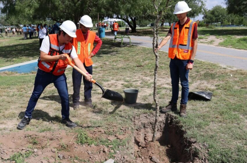  Se unen SEDUMA y estudiantes para reforestar laguna La Escondida en Reynosa