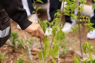  Municipio ofrece talleres gratuitos de medio ambiente – El Clarinete