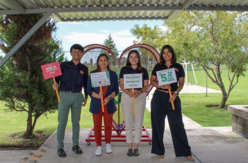  Banco de Alimentos: AJEMEX fortalece lazos de colaboración – La Jornada