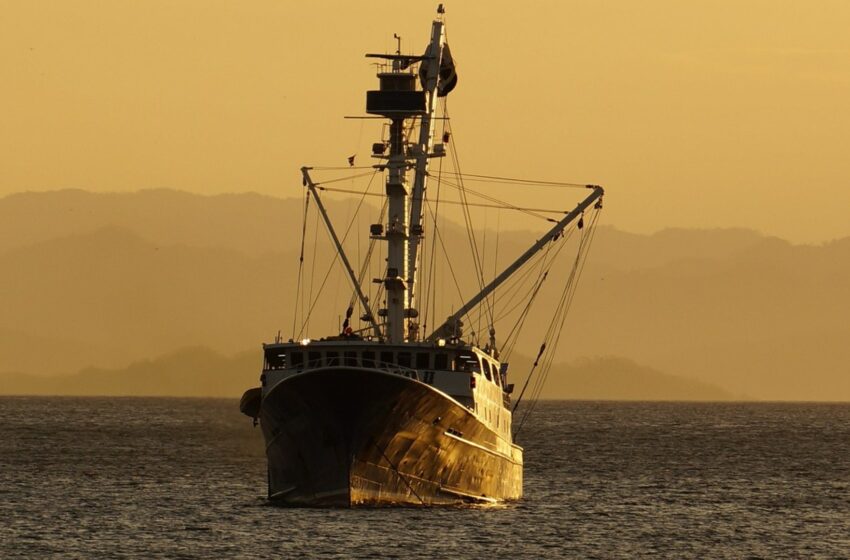  Barcos Mexicanos No Podrán Acceder a Puertos de EUA por No Combatir la Pesca Ilegal