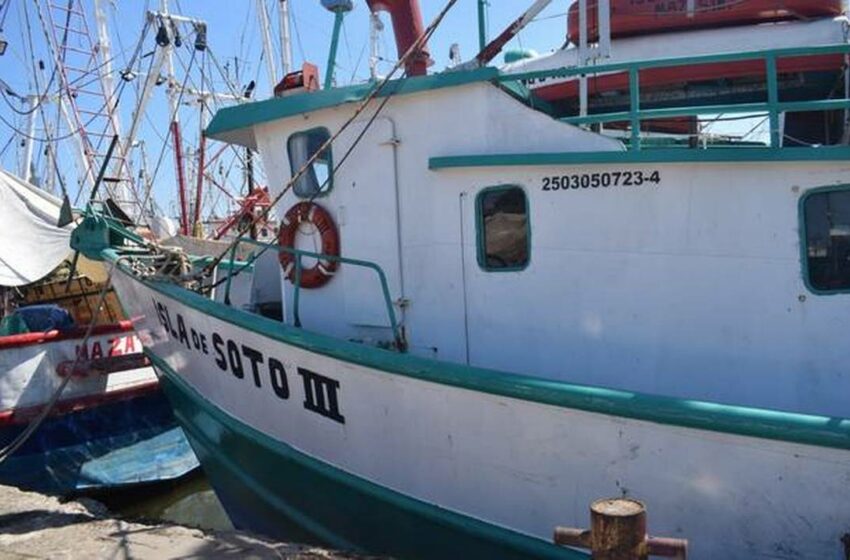  ¡A pescar! Definen inicio de capturas de camarón para altamar y bahías – El Sol de Mazatlán