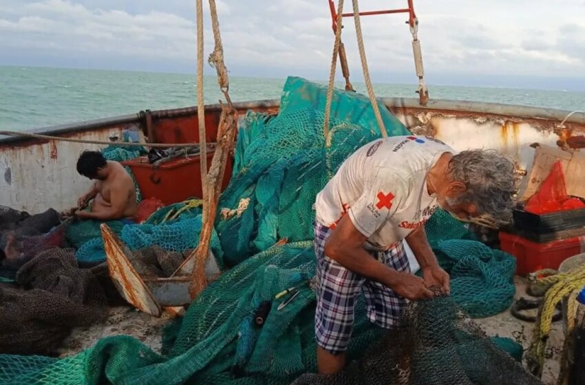  Embarcaciones campechanas dan inicio a la captura del camarón – PorEsto