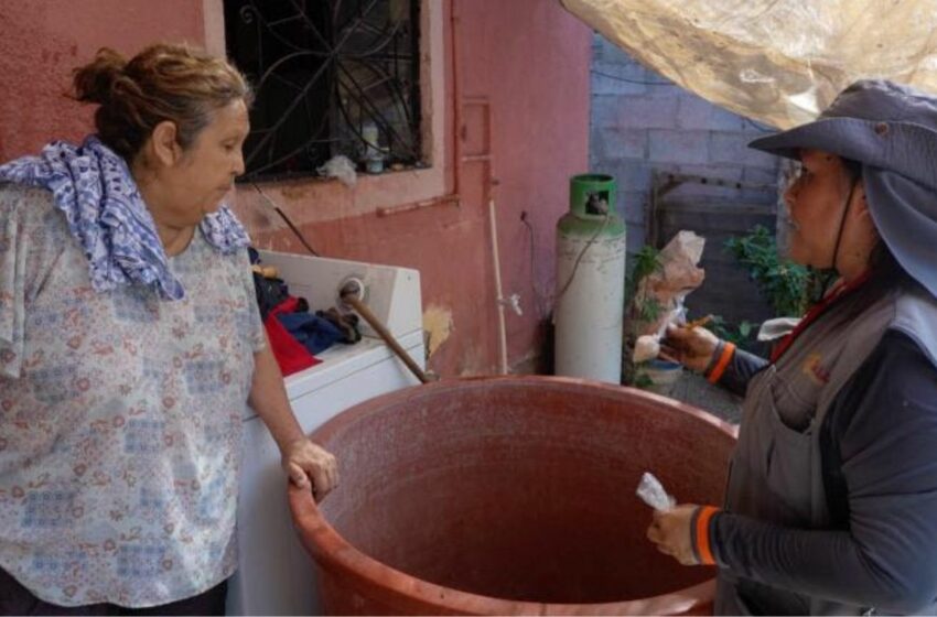  Se mantiene Sonora en penúltimo lugar en casos de dengue a nivel nacional – Proyecto Puente