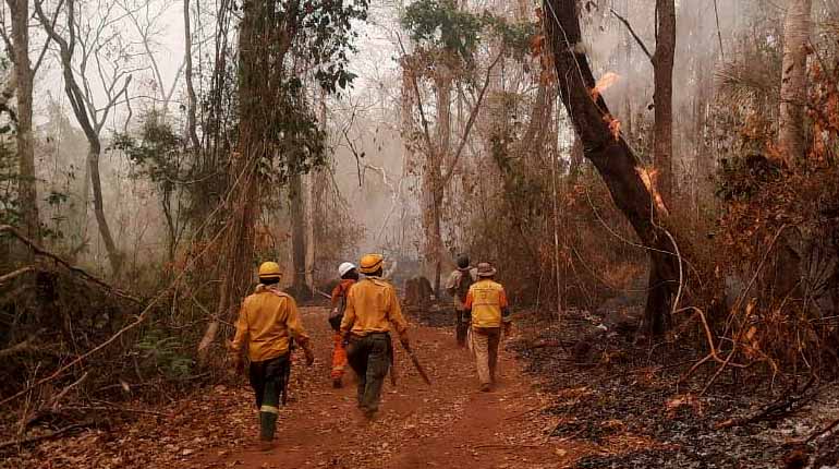  Diferentes instituciones piden incrementar en 10% el presupuesto para el medio ambiente y agua