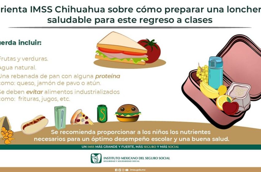  "Lonchera saludable" permite mayor aprovechamiento escolar – El Heraldo de Chihuahua