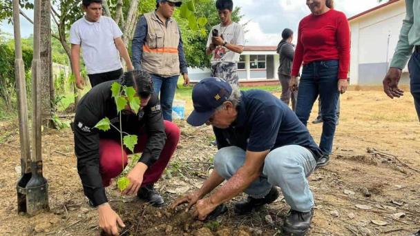  Cobaev 44 puso en marcha programa forestal ¿cuál es el objetivo? – Diario del Istmo