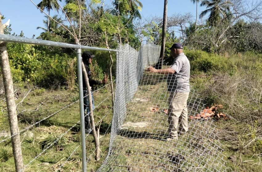  Medio Ambiente instruye al Senpa retirar malla ciclónica en Playa Mirella