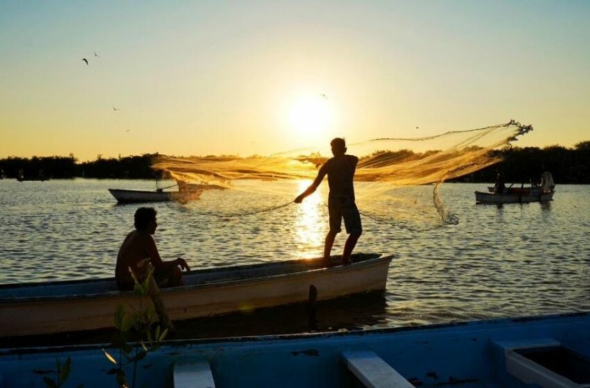  Corrientes marinas desfavorables agravan crisis pesquera en Mazatlán – Punto MX