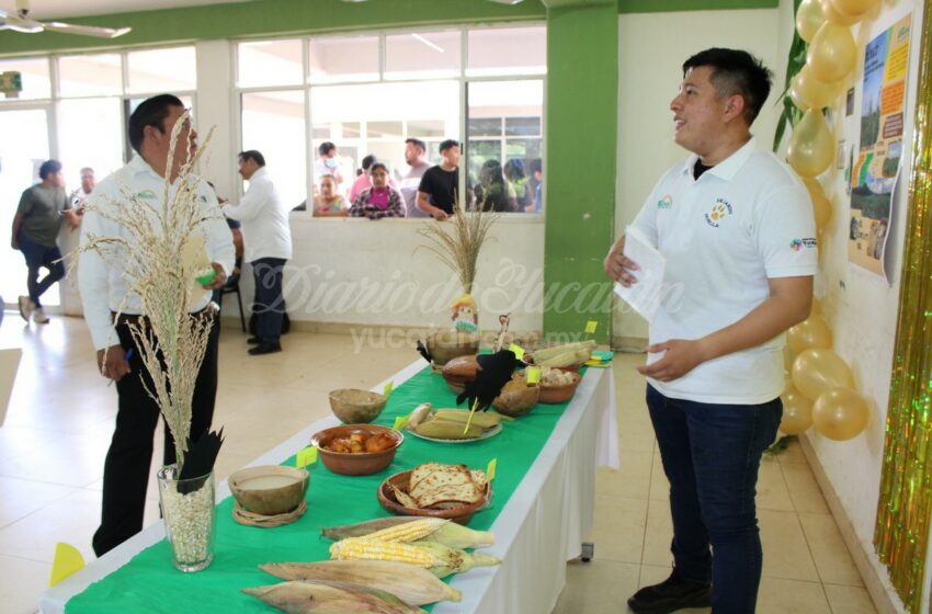  Destacan en Peto el valor cultural y alimenticio del maíz – Diario de Yucatán