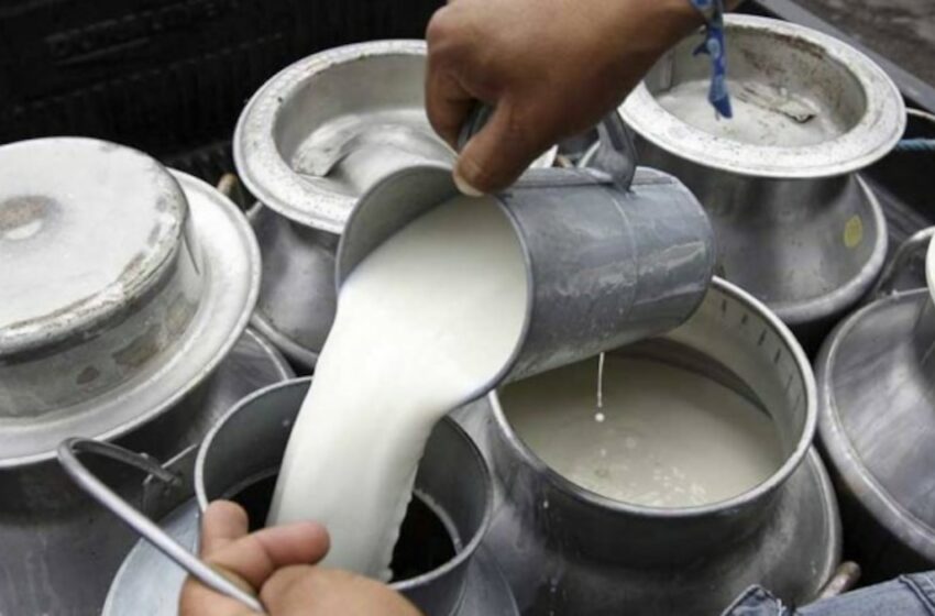  La reacción de las procesadoras de leche a la sanción de la SIC por irregularidades en pagos a productores