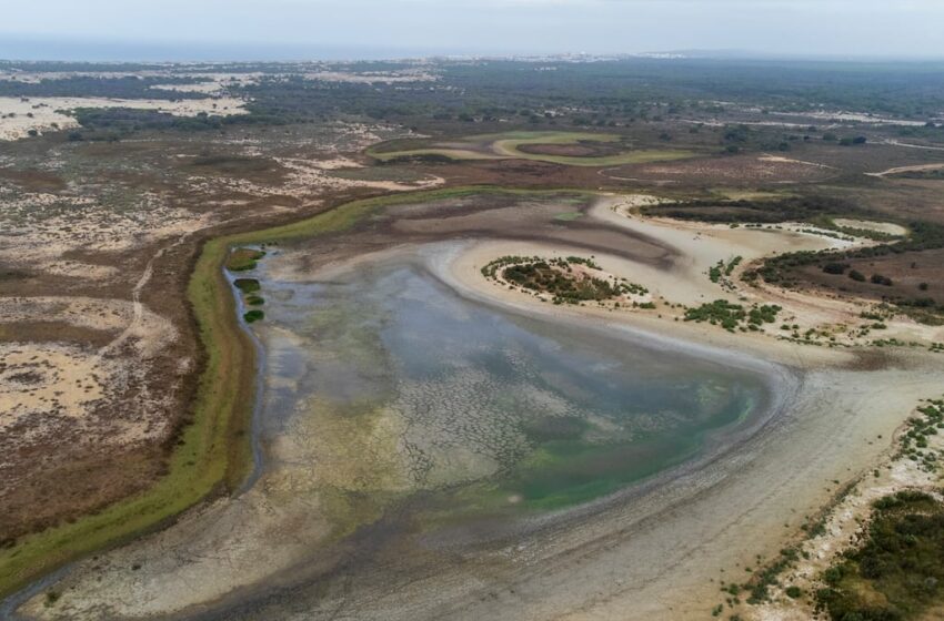  Los científicos de Doñana dan por desaparecidas las lagunas permanentes del parque