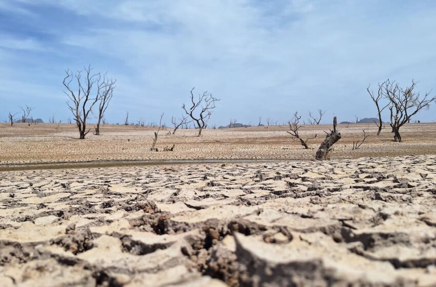  Sequía en Sonora es menor este año que el anterior: Conagua – El Imparcial