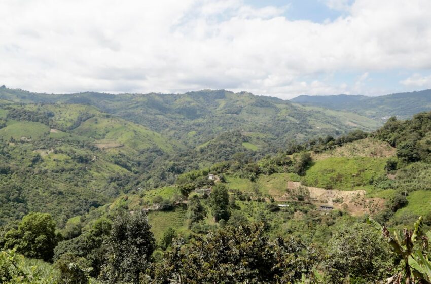  Daños ambientales de la minería ilegal en tres zonas de Ecuador fueron evaluados … – El Universo