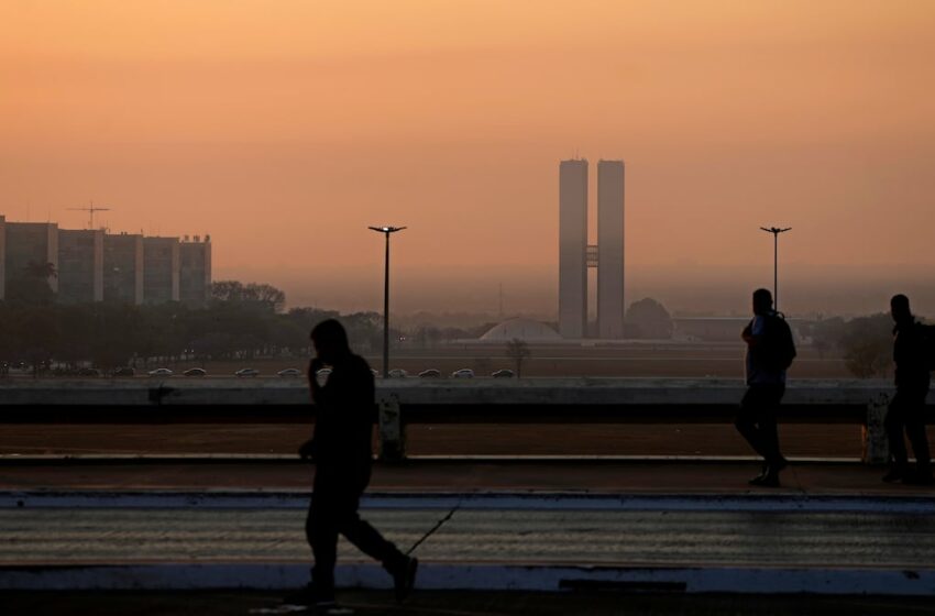  El medio ambiente, el gran olvidado de las elecciones municipales en un Brasil en plena …