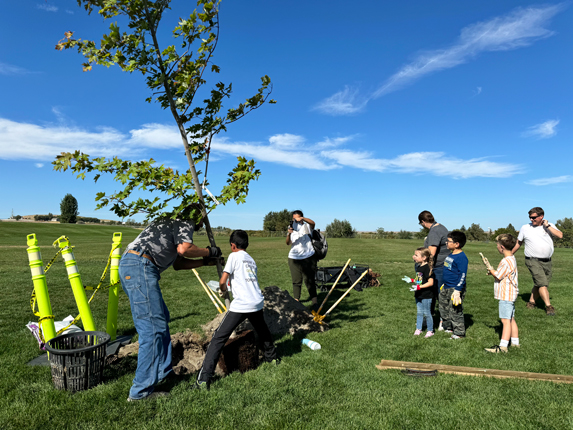  Niños plantan cientos de árboles para refrescar Tri-Cities – Northwest Public Broadcasting