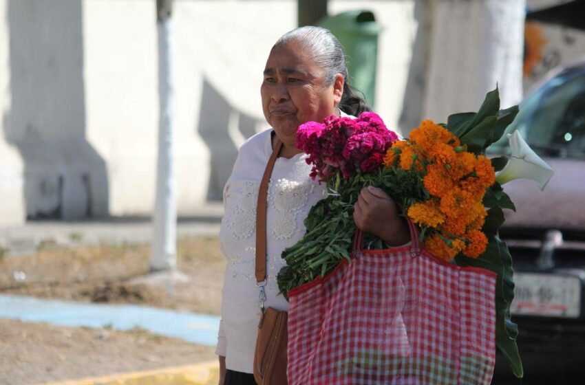  Pachuca: Invertirán más de 500 pesos en ofrendas de Día de Muertos – El Sol de Hidalgo