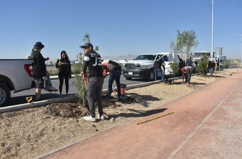  Reforestación del parque lineal Can-Am: esfuerzo conjunto por el medio ambiente