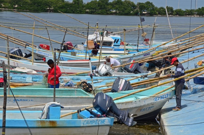  Embarcaciones menores aún no pueden salir a la pesca: Conmecoop – Quadratín Yucatán