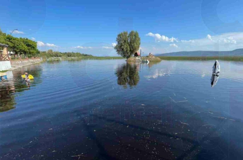  Solo un 5% del Lago de Cuitzeo está en condiciones para pescar charales y mojarra