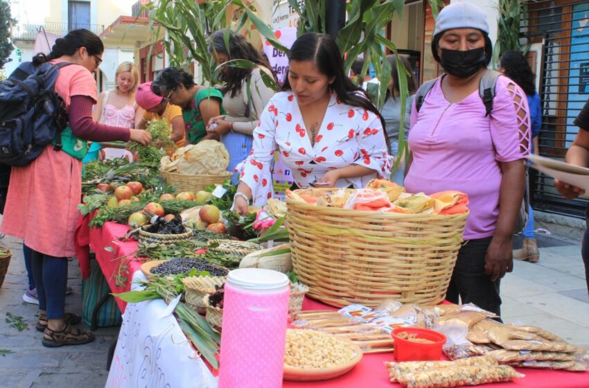  Alimentación tradicional fortalece la producción de alimentos y la economía local