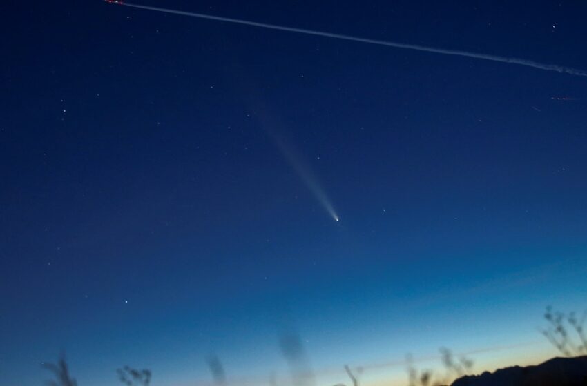  A qué hora y dónde ver desde México el Tsunchinshan-ATLAS, el cometa del siglo