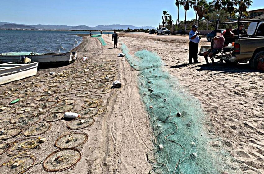  Aseguran 43 kg de producto marino, artes de pesca y embarcación en playa El Centenario …