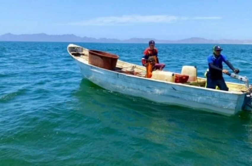  Ribereños del sur de Sonora declaran zona de desastre ambiental tras fallida zafra de camarón