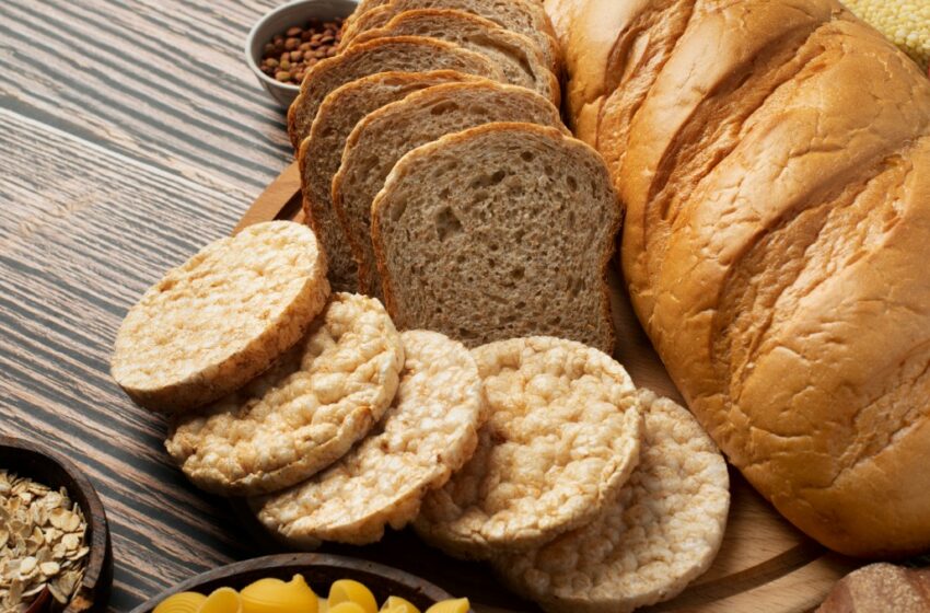  ¿Por qué gustan tanto los carbohidratos? Gen podría ser la respuesta- Grupo Milenio