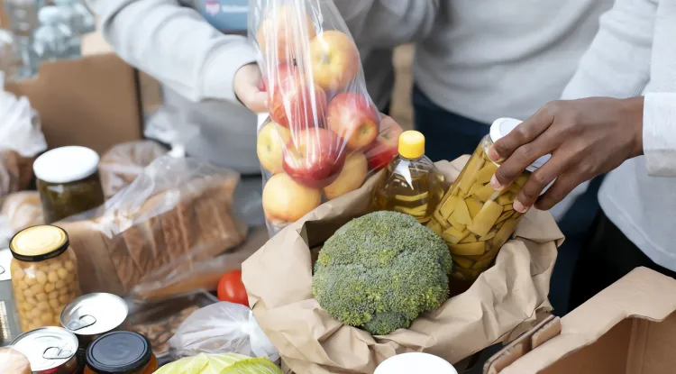  ¡Urgente! Alcaldías deben crear Bancos de Alimentos ante el grave desperdicio de comida …